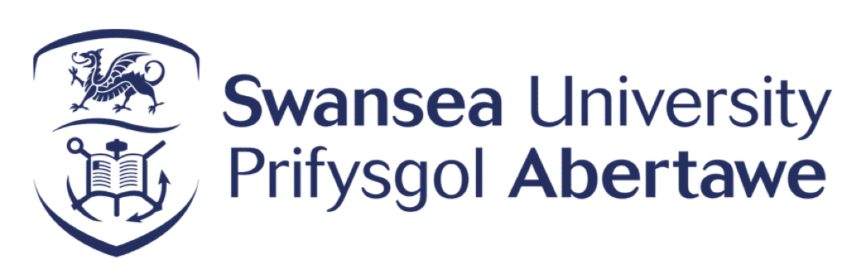 Swansea University